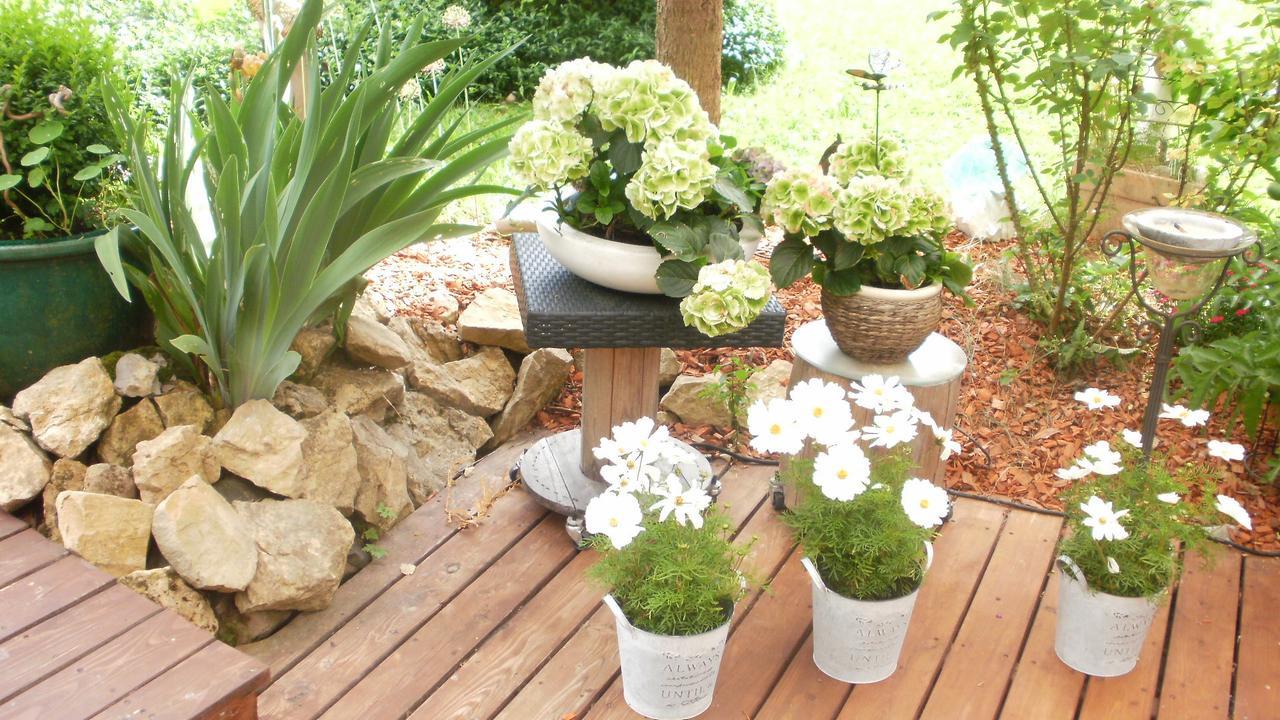 Gaestezimmer Im Haus Am Wald